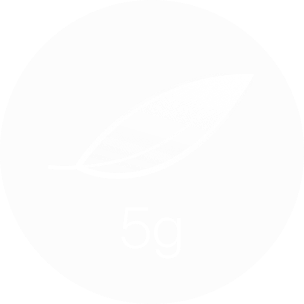 emendion-weight-icon